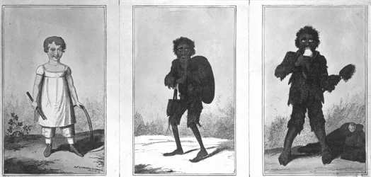 Bonito Bob, Pobre Bob, Bob Patizambo, 1819